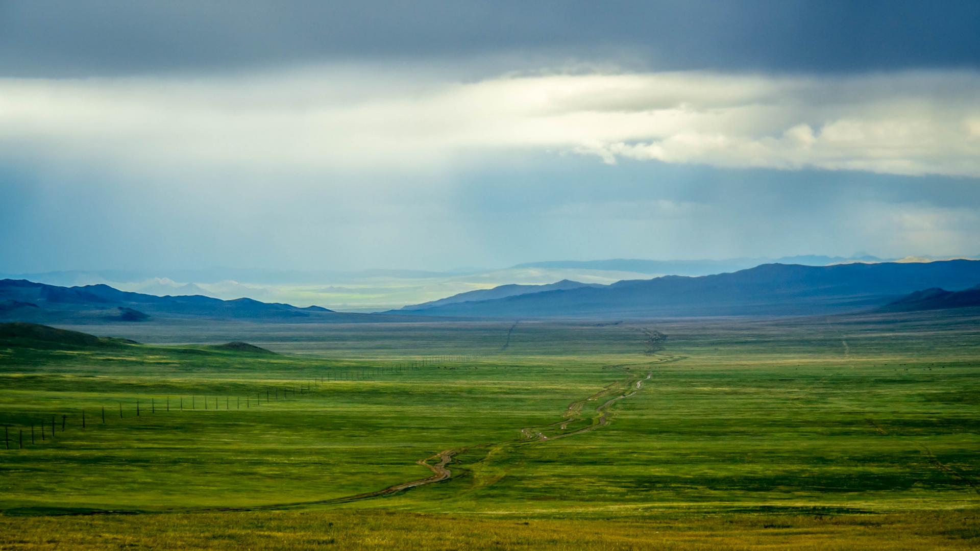 Mongolie53